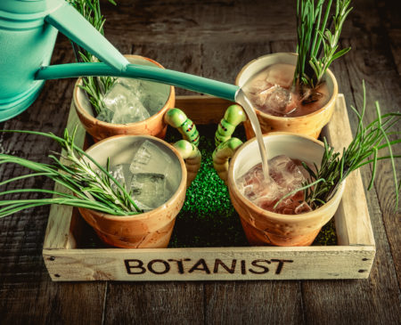 The Botanist: Launching The Botanist