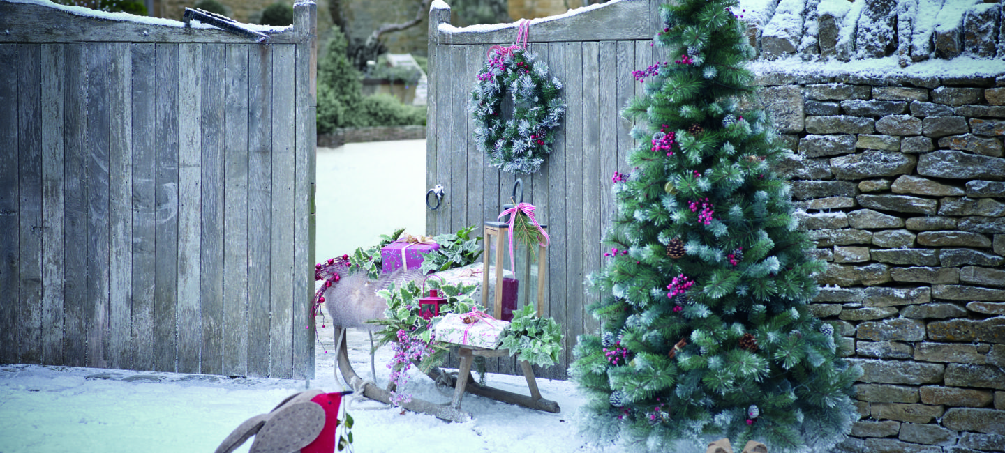 Robin at Christmas