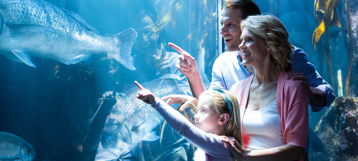 Family at Sealife Centre for Family & Friends Railcard