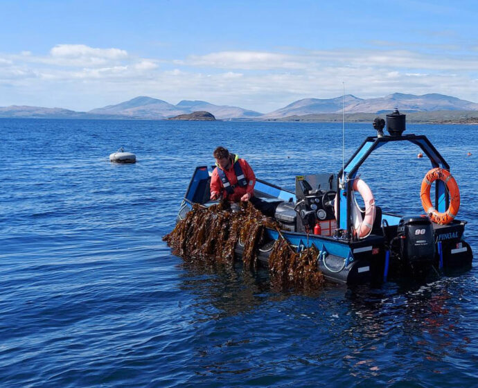 Lloyd’s  Register Foundation: The Seaweed Revolution