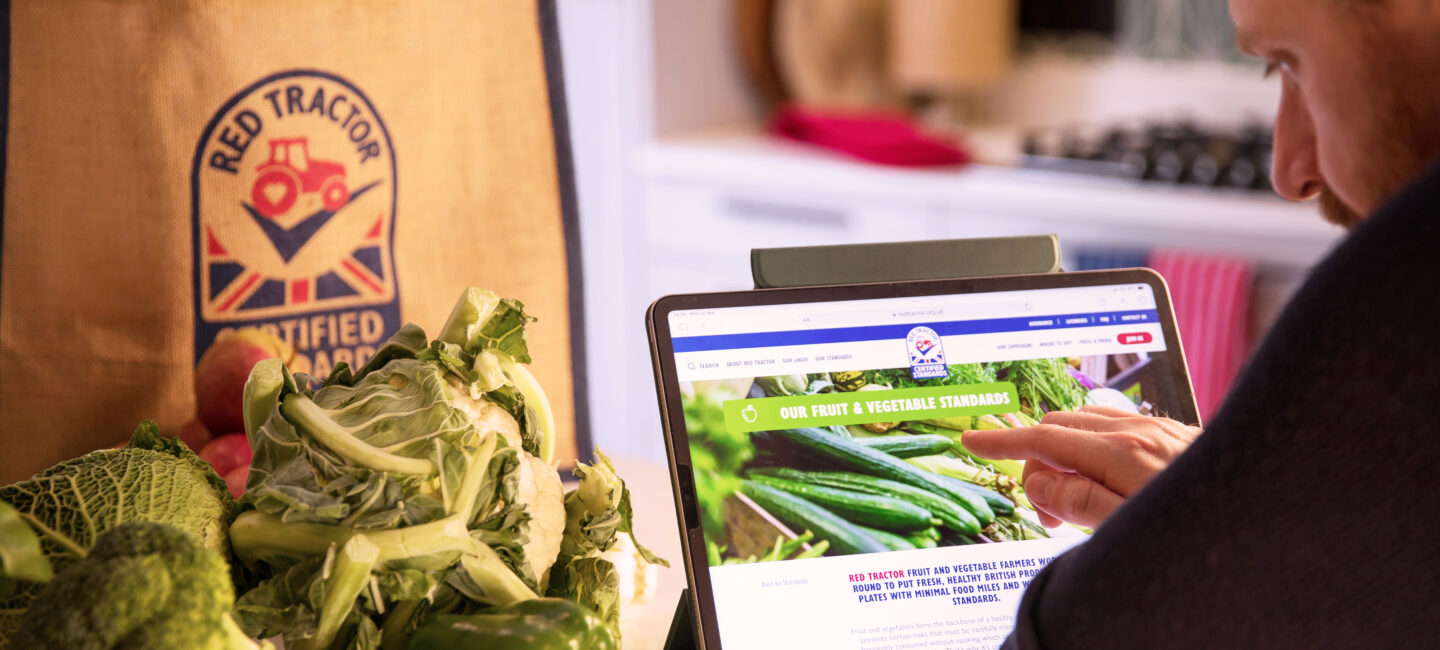 A man looking at the Red Tractor website with a bag of shopping and vegetables next to him