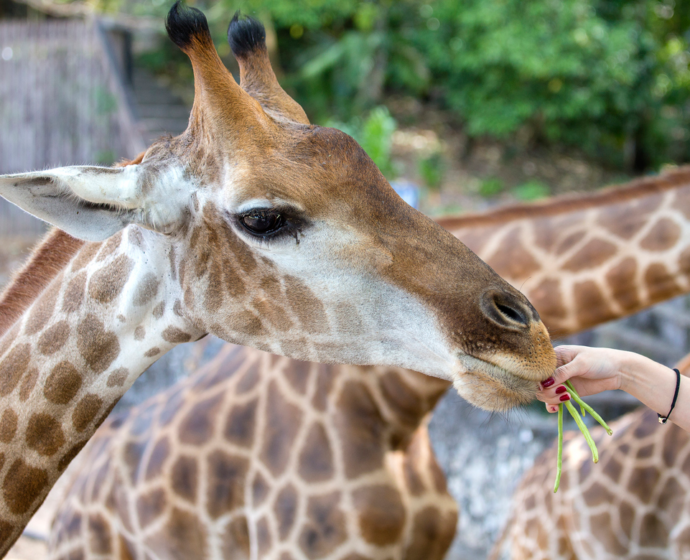 WMSP: Unforgettable Days Out